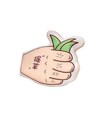 谐音梗抱枕